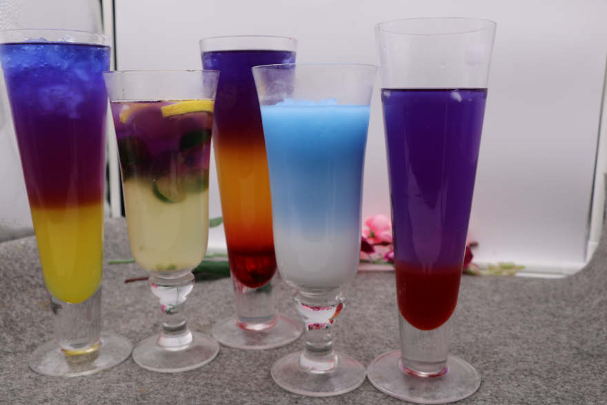 北京泰国蝶豆花培训